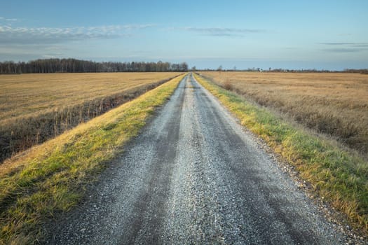 Gravel road through dry meadows, forest to the horizon, evening view