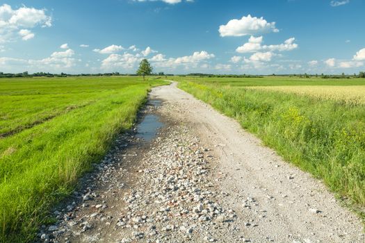 Gravel road with puddles through green meadows, summer view