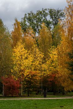 Beautiful colored trees on an Autumn day