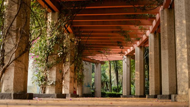 Low angle picture of a pergola looking structure over a path surrounded by columns in a park