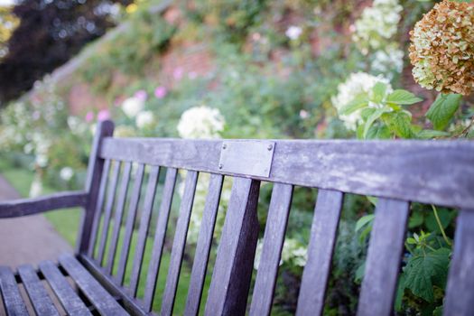 Landscape view of a Wooden Bench on a Park from London, Uk Surrounded by Plants and Flowers