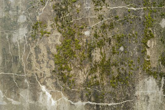 Abstract colorful cement texture and background with cracks