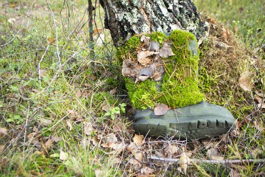 Abandonated old boot cover with green moss in autumn