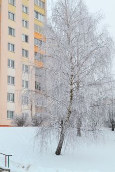 View through snowy trees on a winter city, vertical image