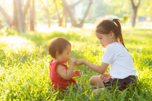 Beautiful young asian kid sitting playing in summer in the park with enjoy and cheerful on green grass, children activity with relax and happiness together on meadow, family and holiday concept.