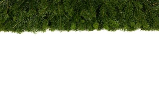 Natural fir Christmas tree border frame isolated on white , copy space for text