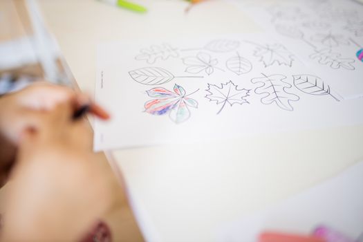 Paper sheet with coloring images of different types of leaves on a white table alongside the blurry hands of a little girl