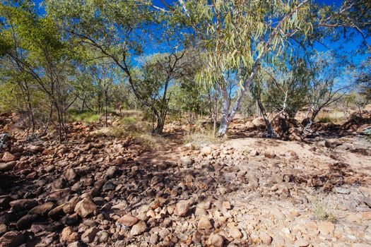 O'Brien's Creek and surrounding gem fossicking landscape near Mount Surprise in Queensland, Australia