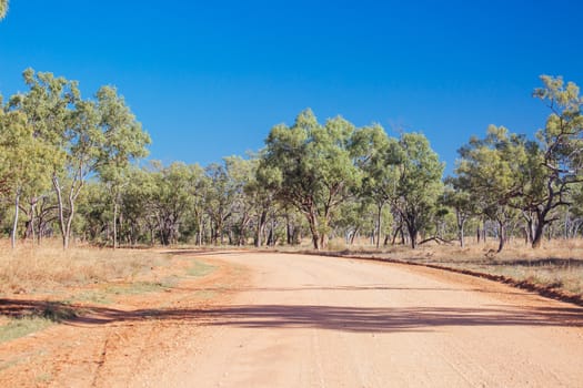 O'Brien's Creek Rd near Mount Surprise in Queensland, Australia