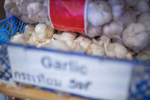 Picture of the word Garlic Written on a blurry Sign on a Blue Plastic Basket Full of Garlic