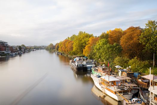 Aerial Landscape Picture of Boats of different sizes Docked Next to Some Green and Orange Trees That Go Alongside the River