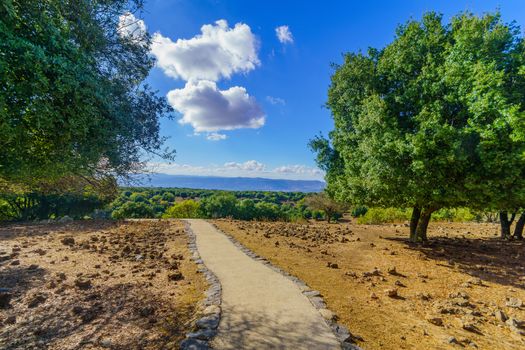 View of volcanic landscape and a footpath in the Golan Heights, Northern Israel