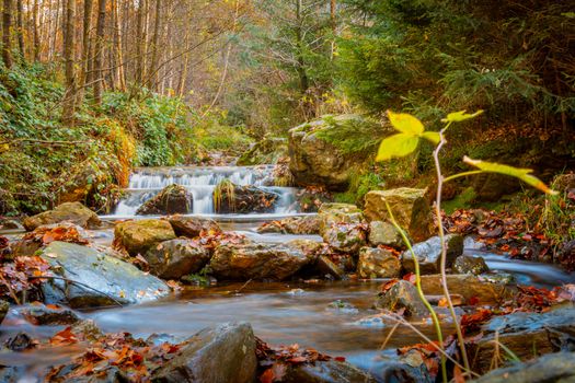 Autumn forest and river scene with waterfall. Long exposure. Seasonal vibes and warm atmosphere. Beauty in nature. Location is Spa, Ardennes Belgium.