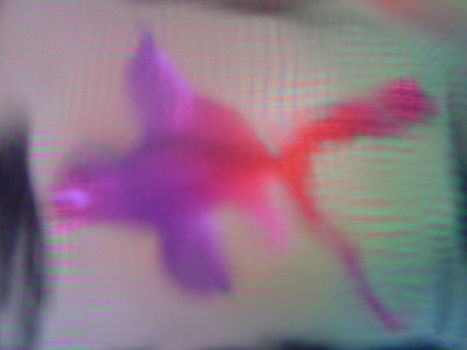 Pink fish. View through heavy blurred glass. 3D rendering