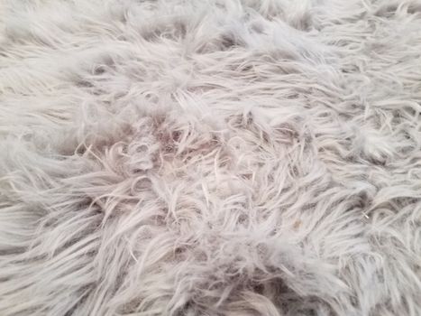 grey and white carpet or rug or dog hair or fur