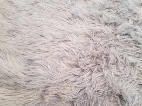 grey and white carpet or rug or dog hair or fur