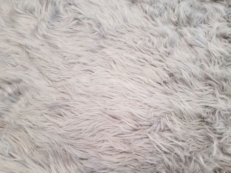 grey and white carpet or rug or dog hair or fur