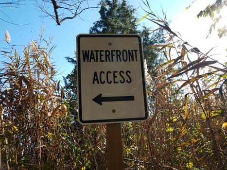 waterfront access sign with arrow and trees in forest