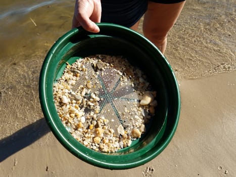 female hand holding strainer with stones at beach with water and sand