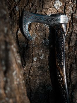 Close up look at the ancient Scandinavian vikings axe at the summer sunset on the deep grass