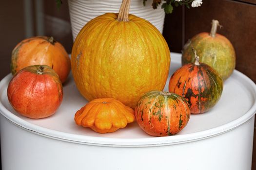 Pumpkins of different sizes and shapes, as decoration at the entrance to the house, close-up, copy space. The porch is decorated for Halloween, autumn still life, selective focus.