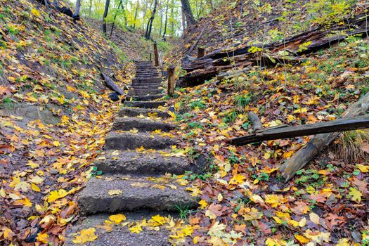 Autumn forest. An old stone staircase strewn with fallen leaves climbs up the slope.