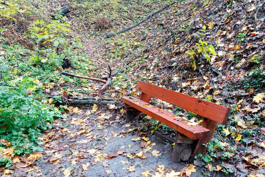 On a forest path near the slope, strewn with fallen leaves, stands an old, roughly knocked down brown wooden bench.