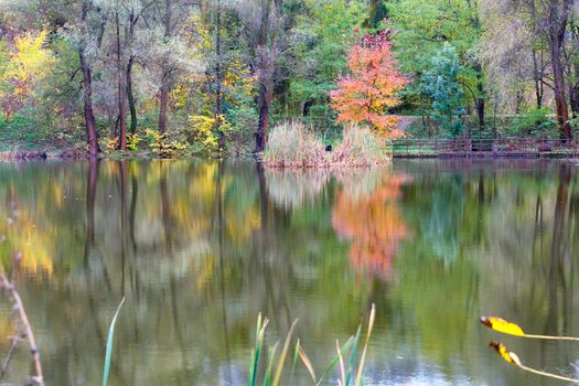 Beautiful autumn landscape of a forest lake with the reflection of bright trees on the water surface.