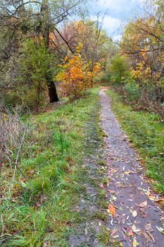 Autumn Grove is an unpaved hiking trail that goes straight through the overgrown autumn forest.