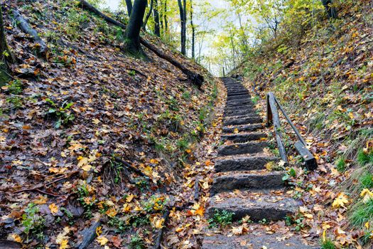 An old stone staircase, strewn with fallen leaves, leads up the slope of the autumn forest.