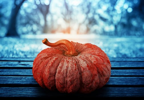 Pumpkin on wooden with the lawn background.