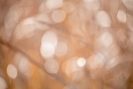 autumnal natural bokeh background or backdrop, fall autumn season graphic object