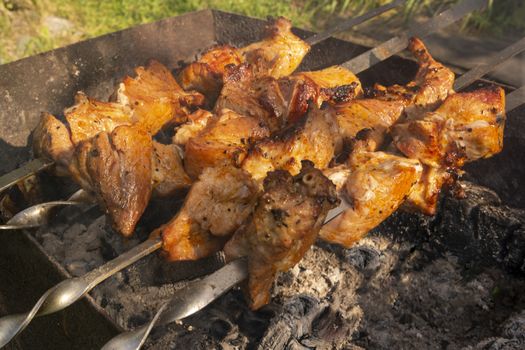 Juicy, fragrant kebabs on the grill