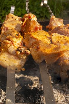 Juicy, fragrant kebabs on the grill