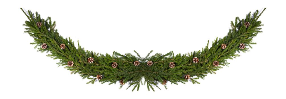 Winter and Christmas fir wreath composition with pine cones isolated on white background with copy space