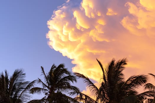 Beautiful cumulus clouds of red-orange during sunset on a background of palm trees. Horizontal image