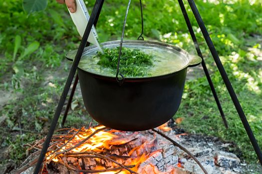 Man pours dill from the plate into the pot, which is heated on a fire. Fresh fish soup.