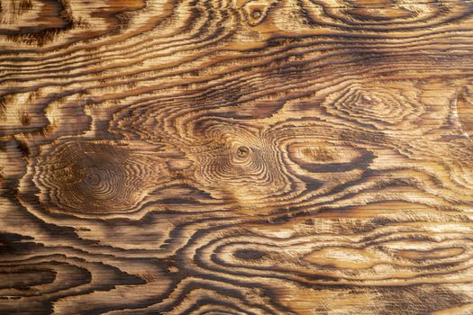 the texture of burnt wood. wood background