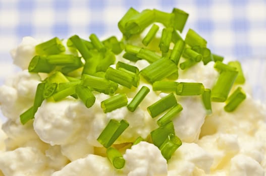 cheese with fresh herbs