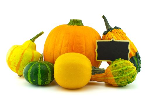 Colorful pumpkin and squash collection and black chalkboard frame isolated on white background