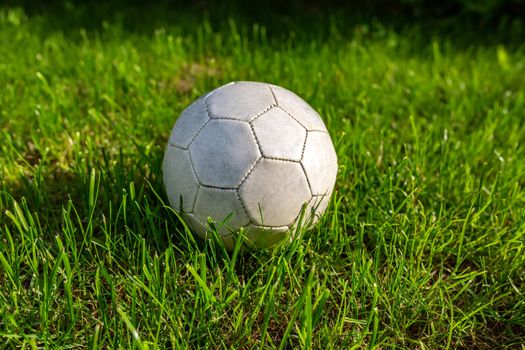 Football, sports. White soccer ball on green grass close-up. Natural sunlight in the early morning.