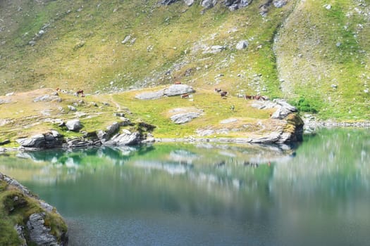 The colorful alpine lake of Brenguez