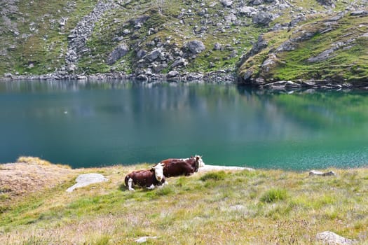 The colorful alpine lake of Brenguez