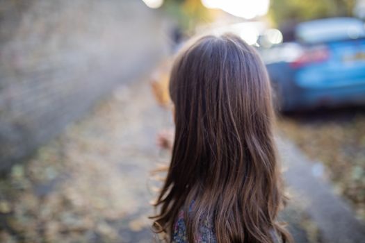 Close up rear view of the head of a little brunette girl on the sidewalk covered in autumn leaves with a blurry blue car and brick wall as background