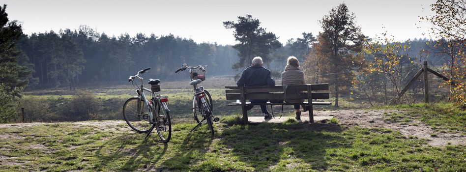 couple on bench resting from bicycle trip in the fall forest near utrecht in the netherlands