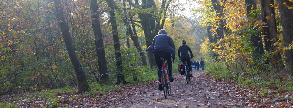 couple on bicycle in fall forest near utrecht in the netherlands