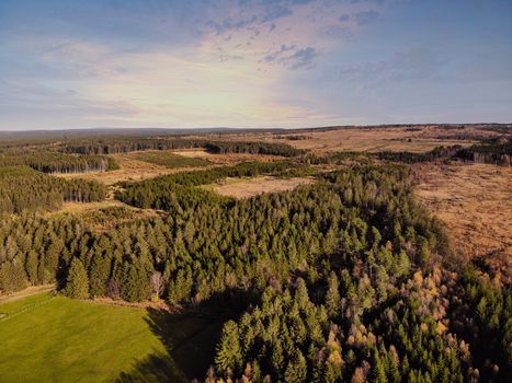 Aerial drone point of view of High Fens Hohes Venn Hautes Fagnes Hoge Venen nature reserve in Belgium. Beauty in nature