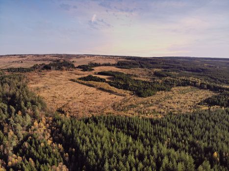 Aerial drone point of view of High Fens Hohes Venn Hautes Fagnes Hoge Venen nature reserve in Belgium. Beauty in nature