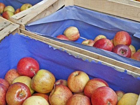 apples at a street sale