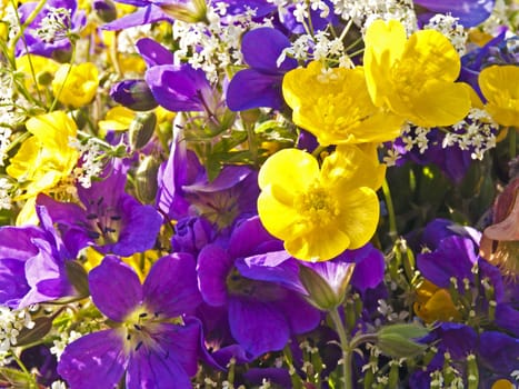 posy of flowers